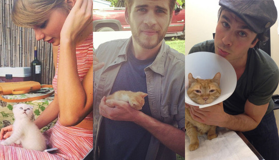 Celeb with cats split Celeb with cats split